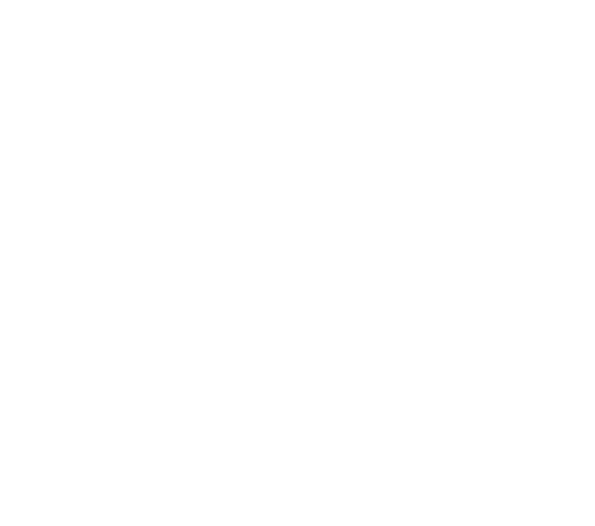 Minnella Masonry Logo